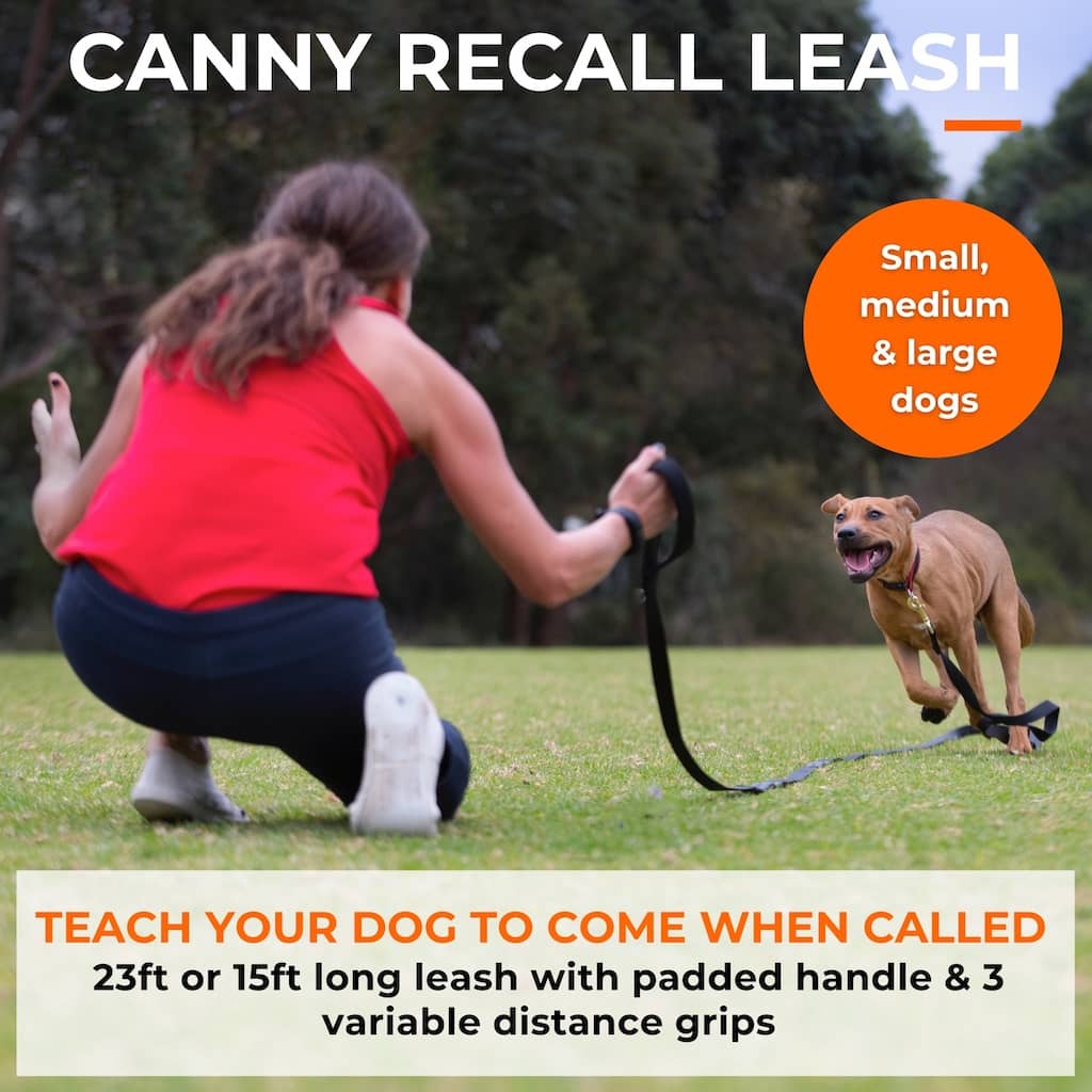 Recall Training Long Line for Beagles – 15 or 23 ft