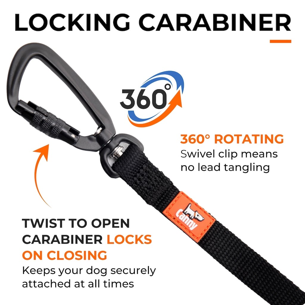 Recall Training Long Line for Beagles – 15 or 23 ft