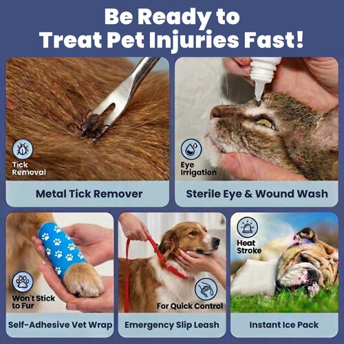 Compact First Aid Kit for Beagle Walks & Travel