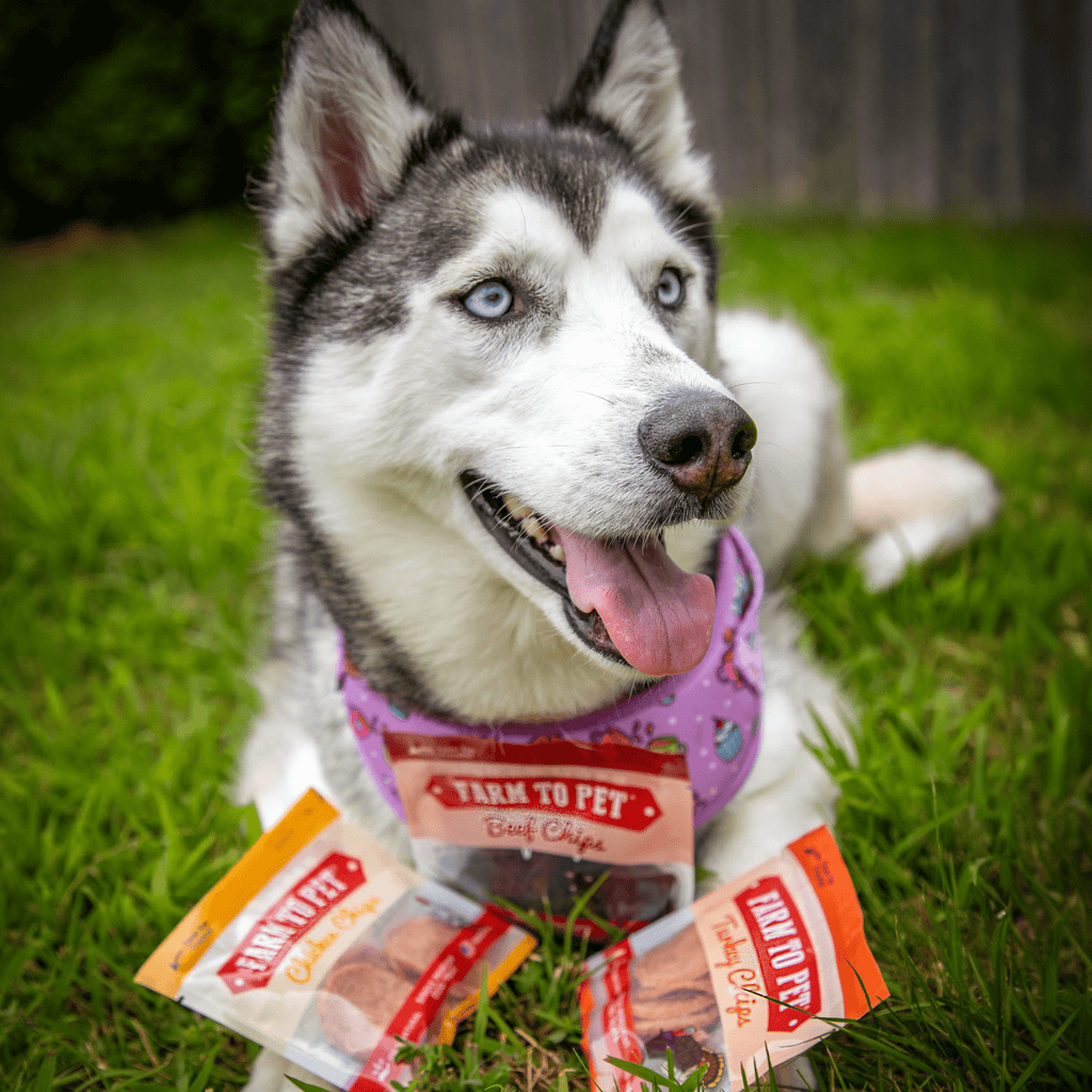 Single-Ingredient Training Treat Sampler for Beagles