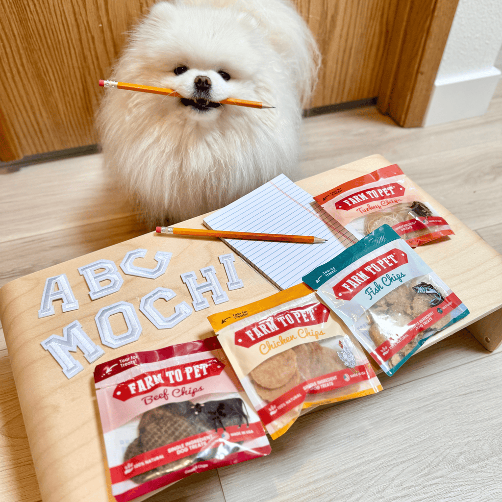 Single-Ingredient Training Treat Sampler for Beagles