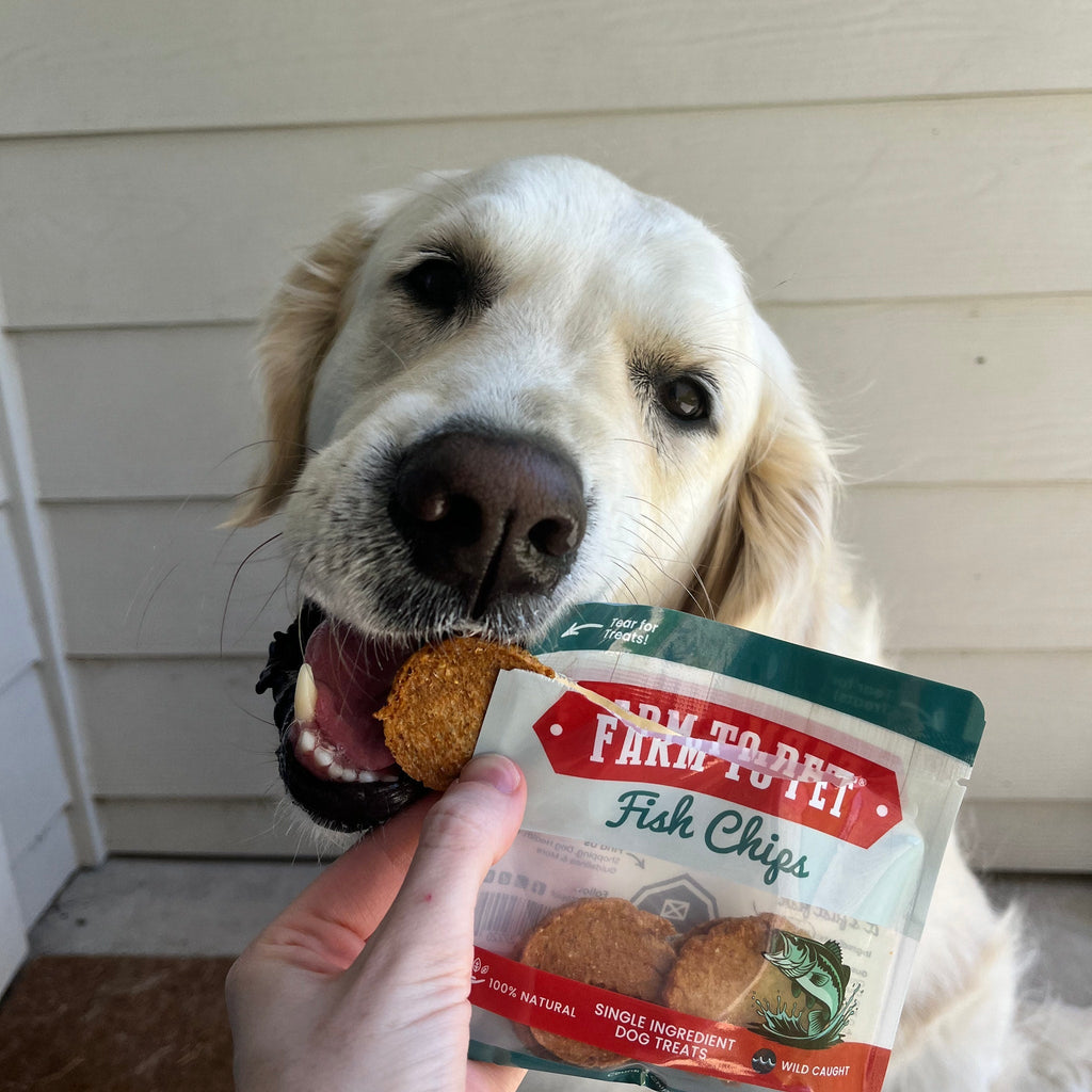 Single-Ingredient Training Treat Sampler for Beagles