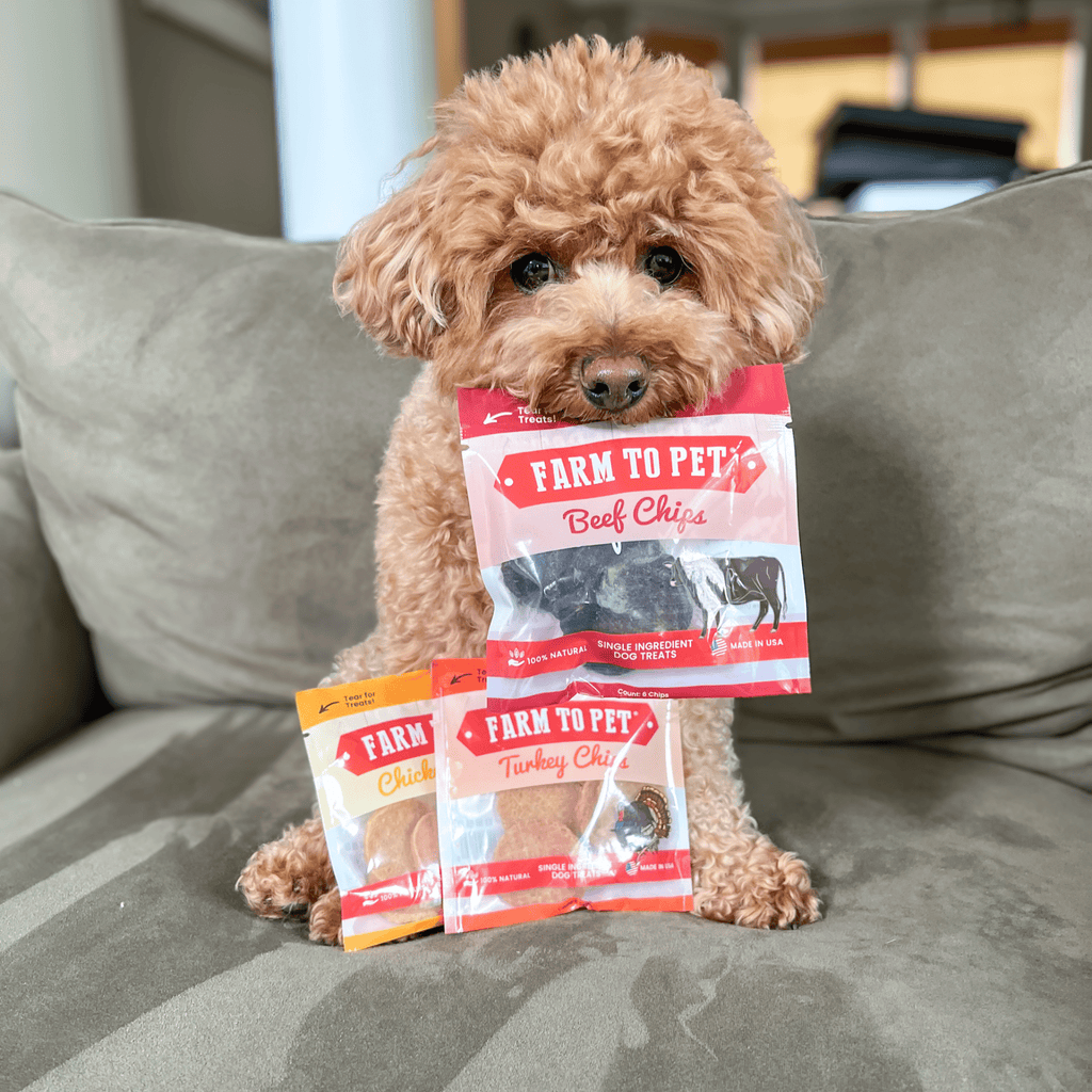 Single-Ingredient Training Treat Sampler for Beagles