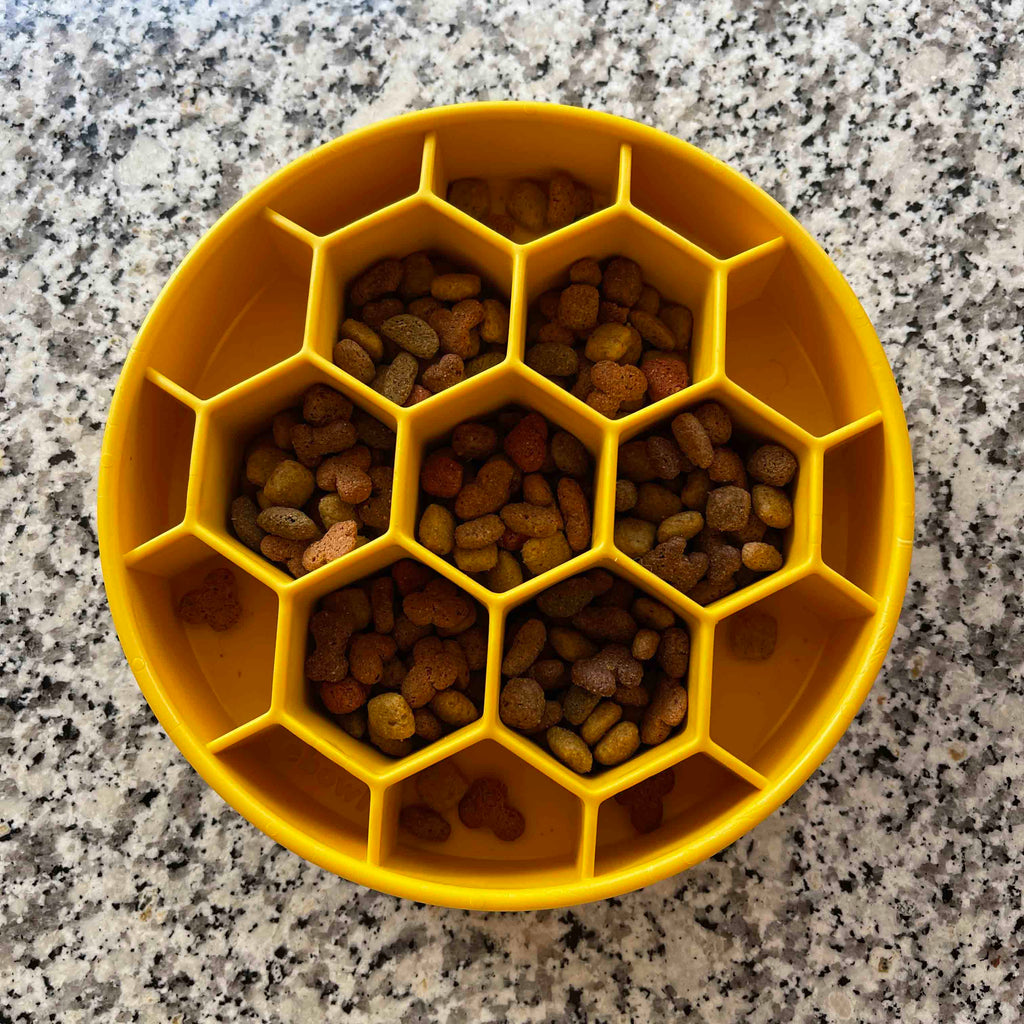 Honeycomb Slow-Feeder Enrichment Bowl for Beagles