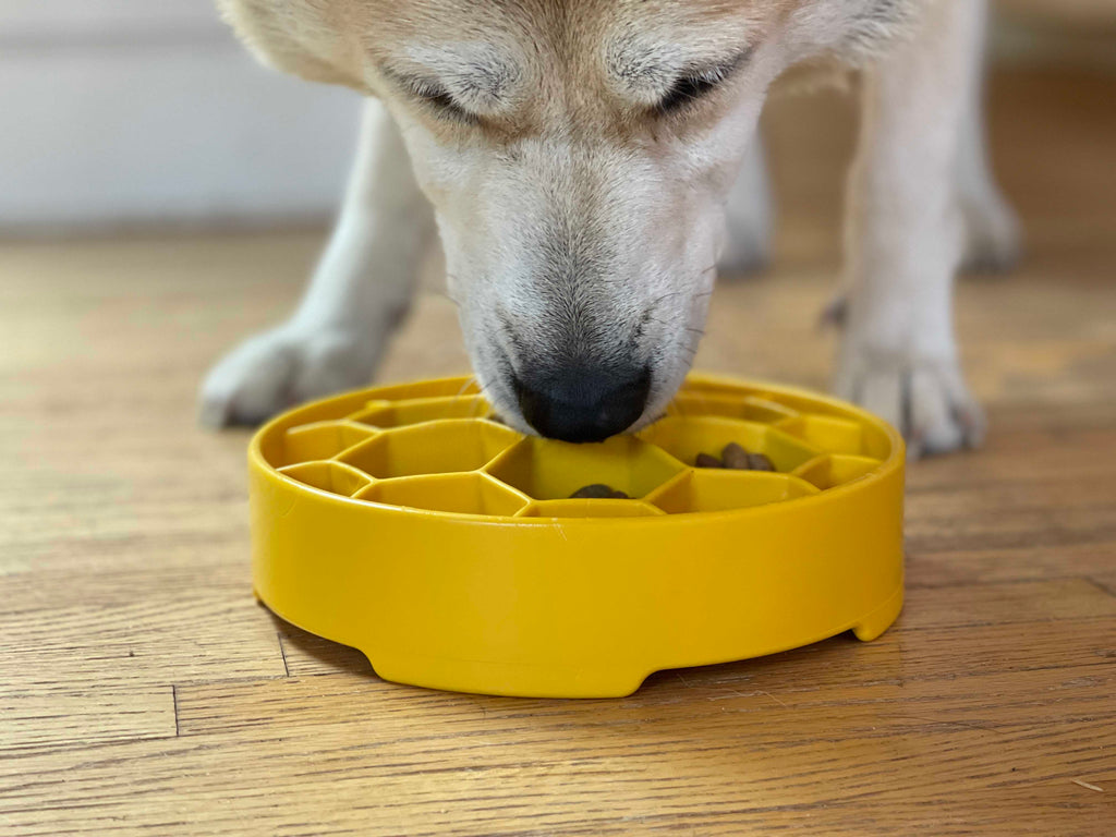 Honeycomb Slow-Feeder Enrichment Bowl for Beagles