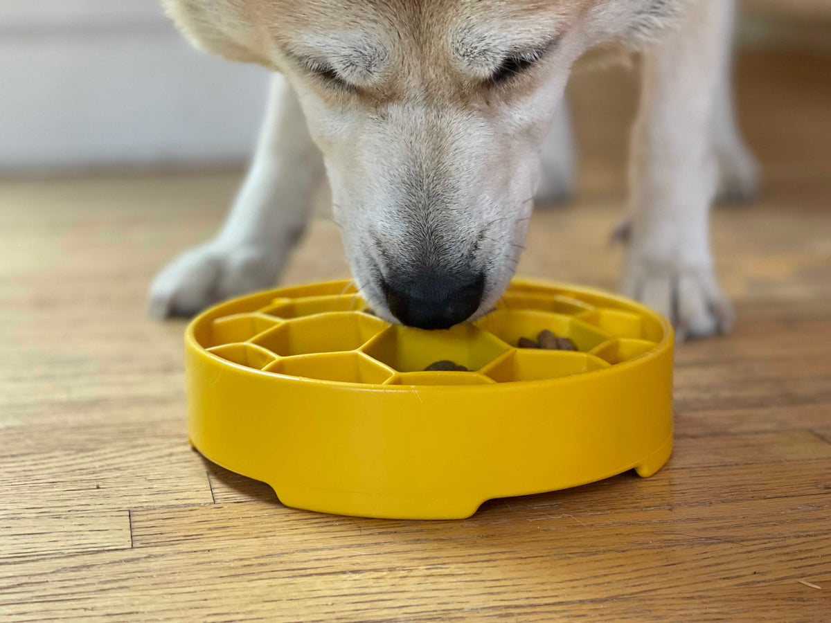 Honeycomb Slow-Feeder Enrichment Bowl for Beagles