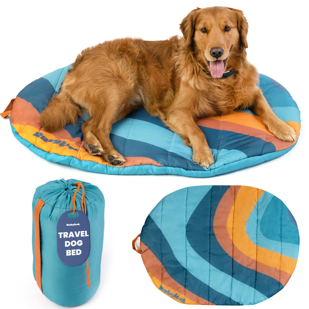 Packable Travel Bed for Beagles