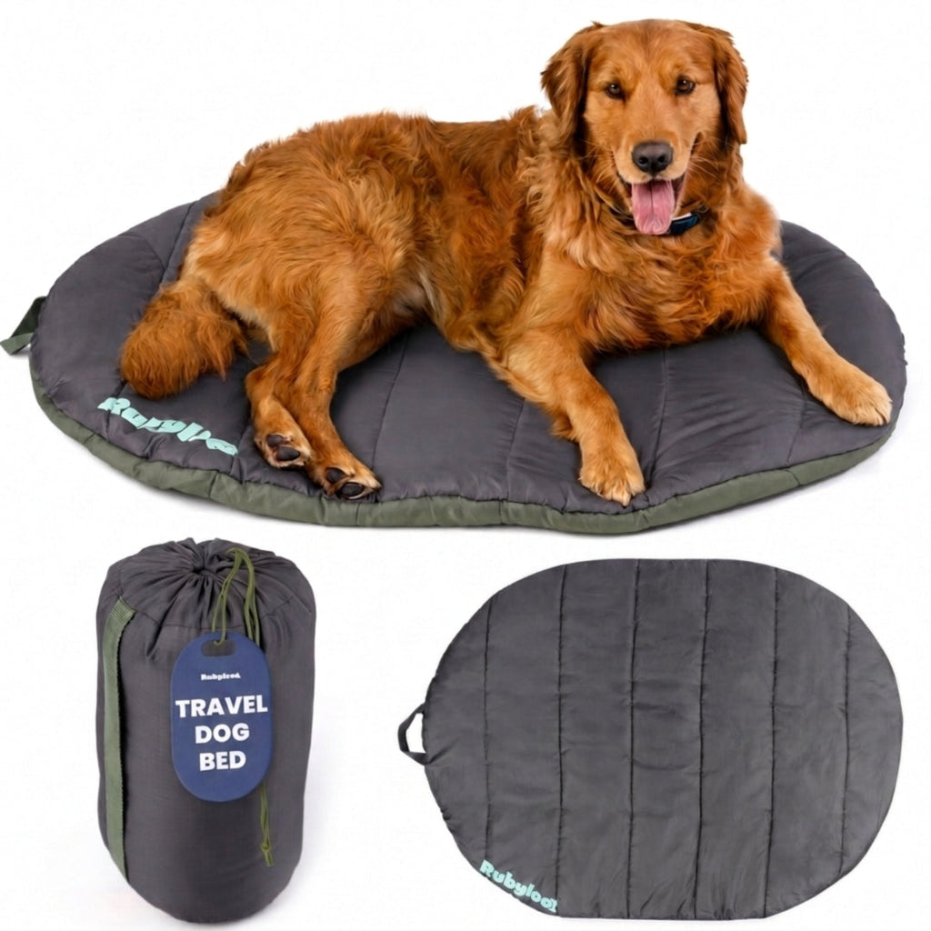 Packable Travel Bed for Beagles