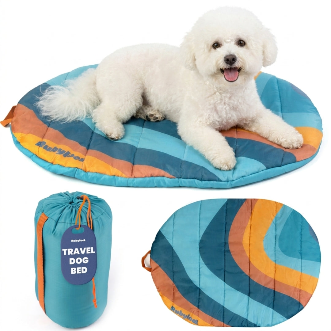 Packable Travel Bed for Beagles