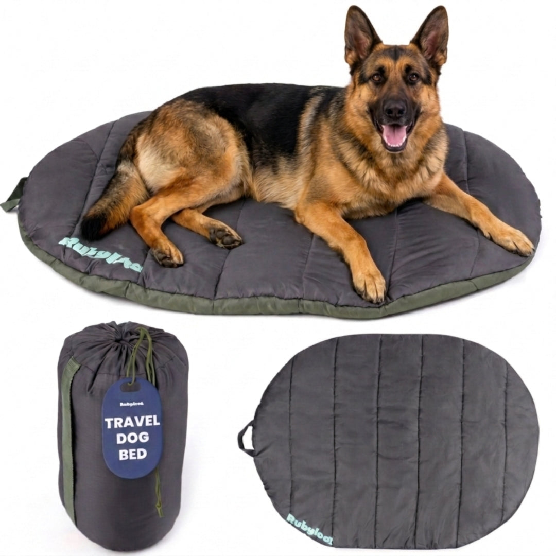 Packable Travel Bed for Beagles
