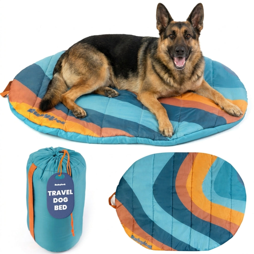 Packable Travel Bed for Beagles