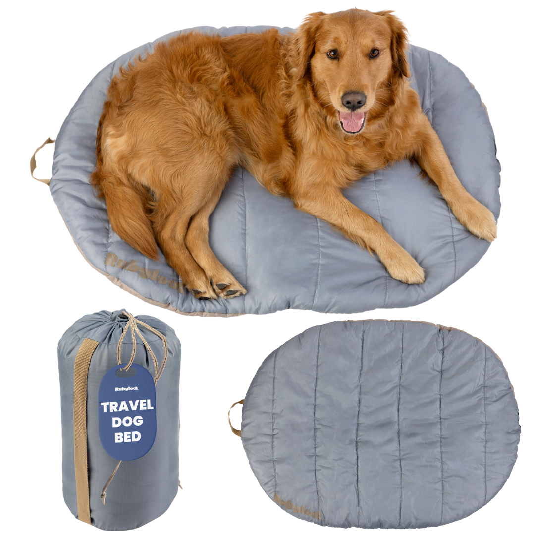 Packable Travel Bed for Beagles