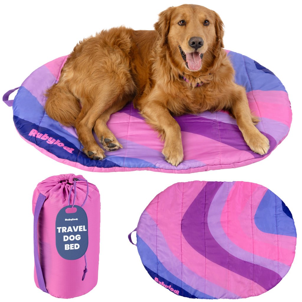 Packable Travel Bed for Beagles