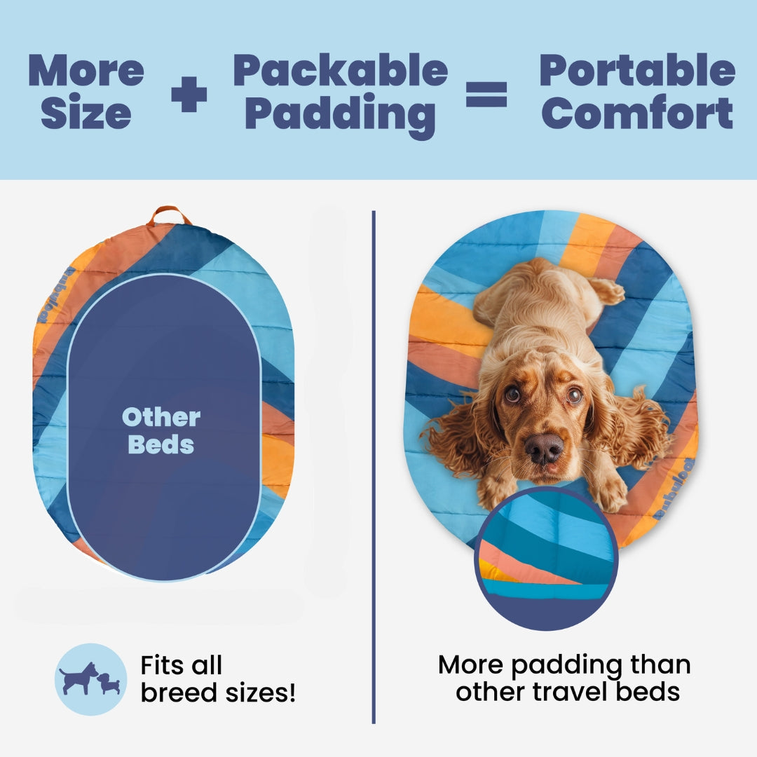 Packable Travel Bed for Beagles