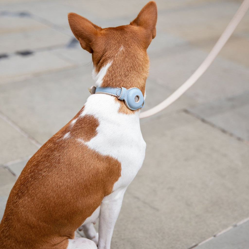 AirTag-Compatible Dog Tracking Collar – Vegan Leather