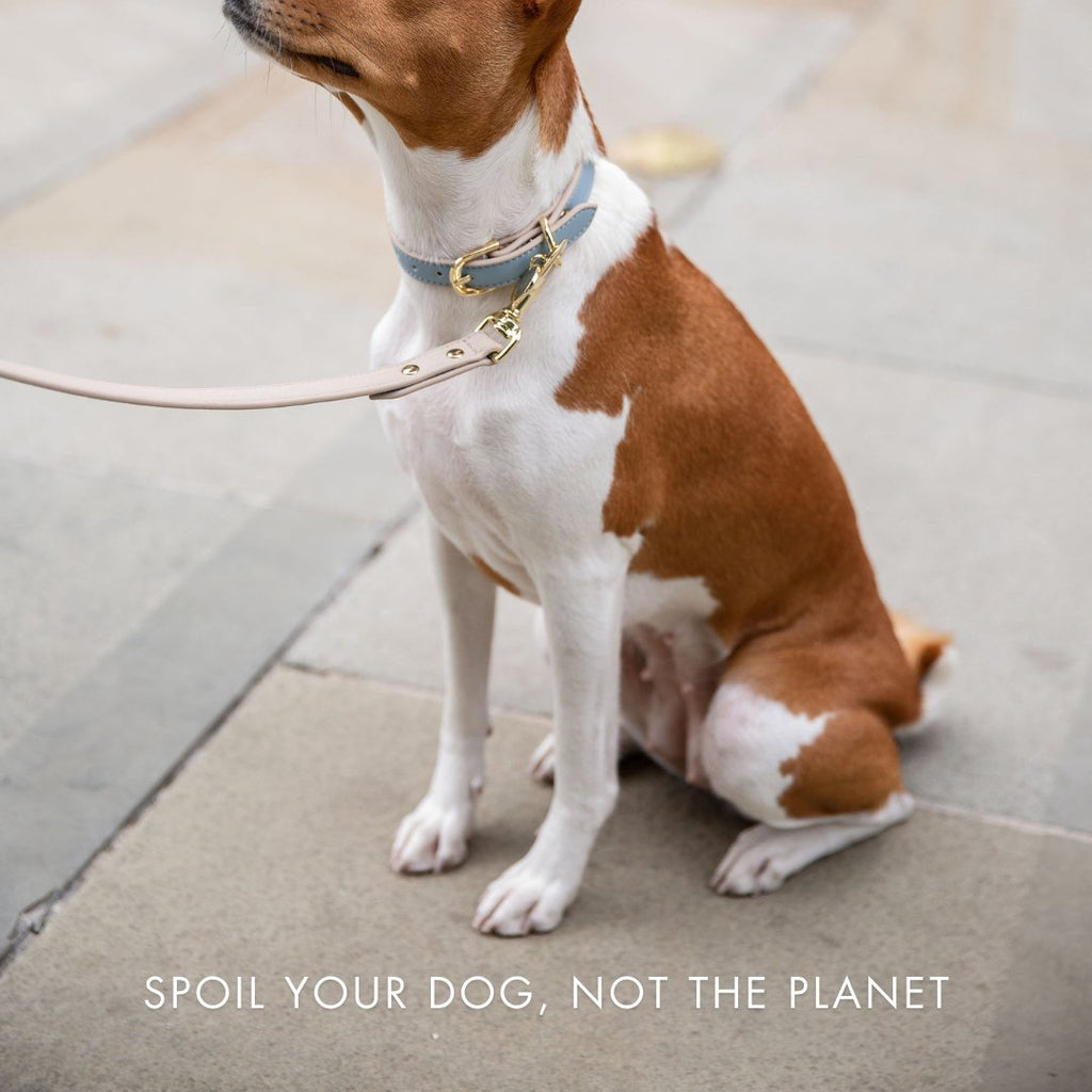 AirTag-Compatible Dog Tracking Collar – Vegan Leather