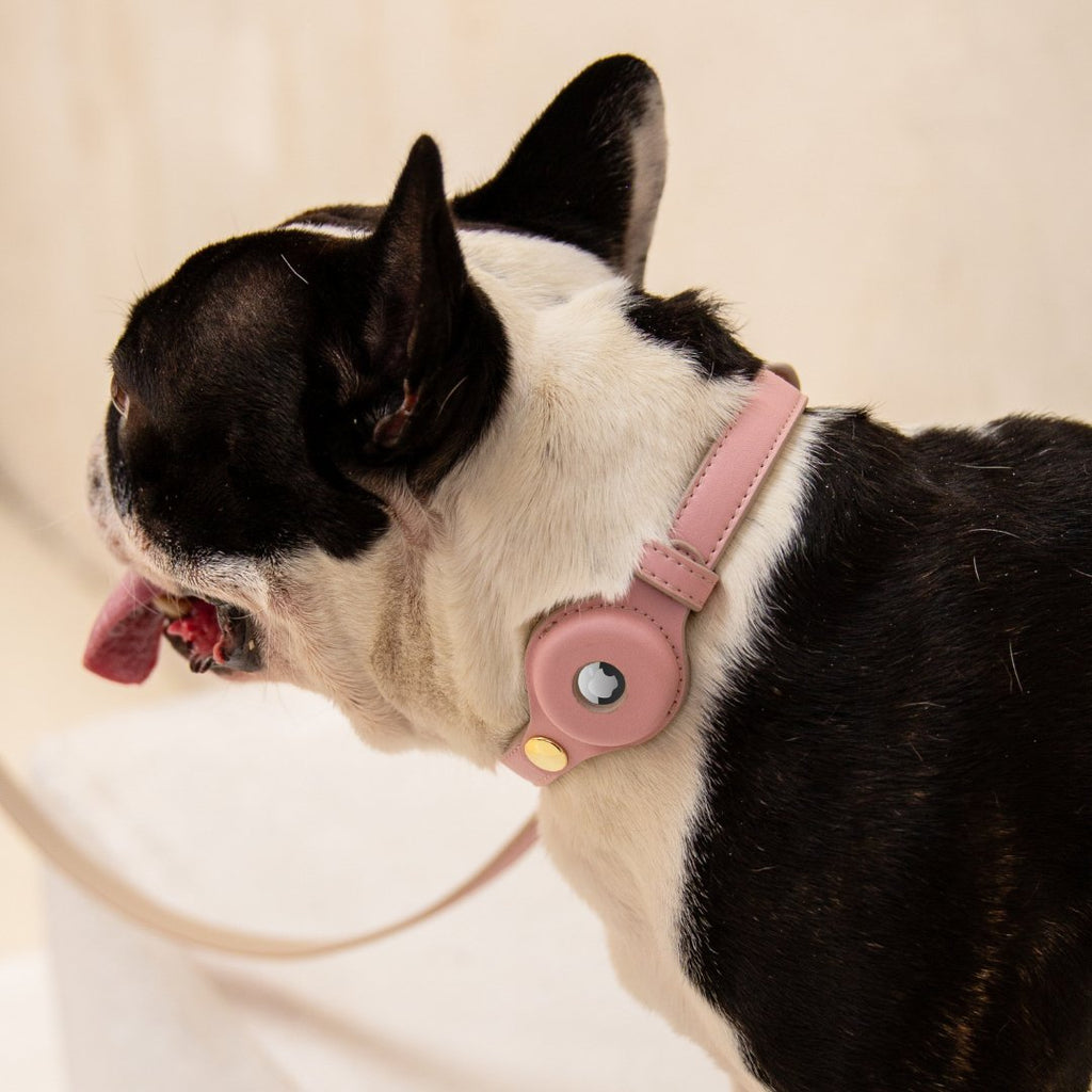 AirTag-Compatible Dog Tracking Collar – Vegan Leather