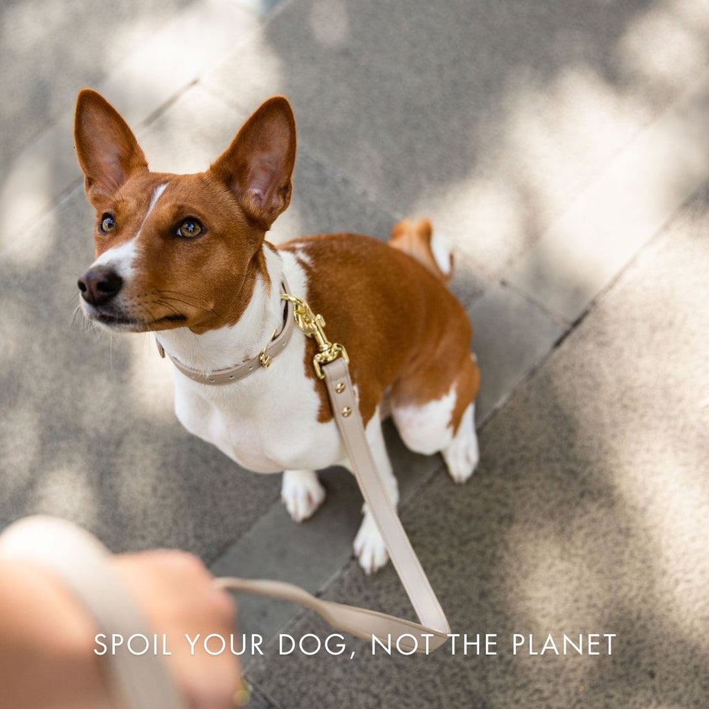 AirTag-Compatible Dog Tracking Collar – Vegan Leather