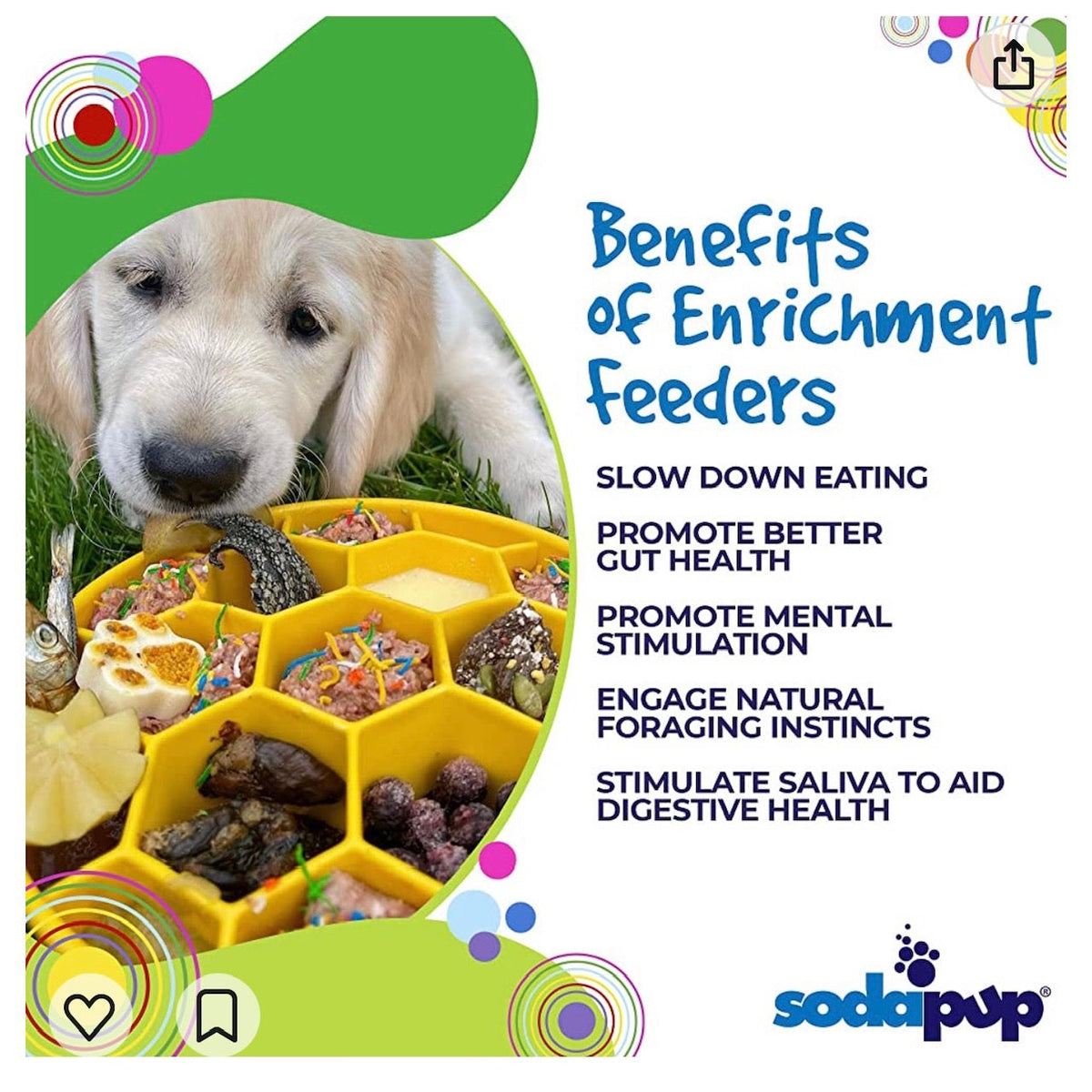 Honeycomb Slow-Feeder Enrichment Bowl for Beagles