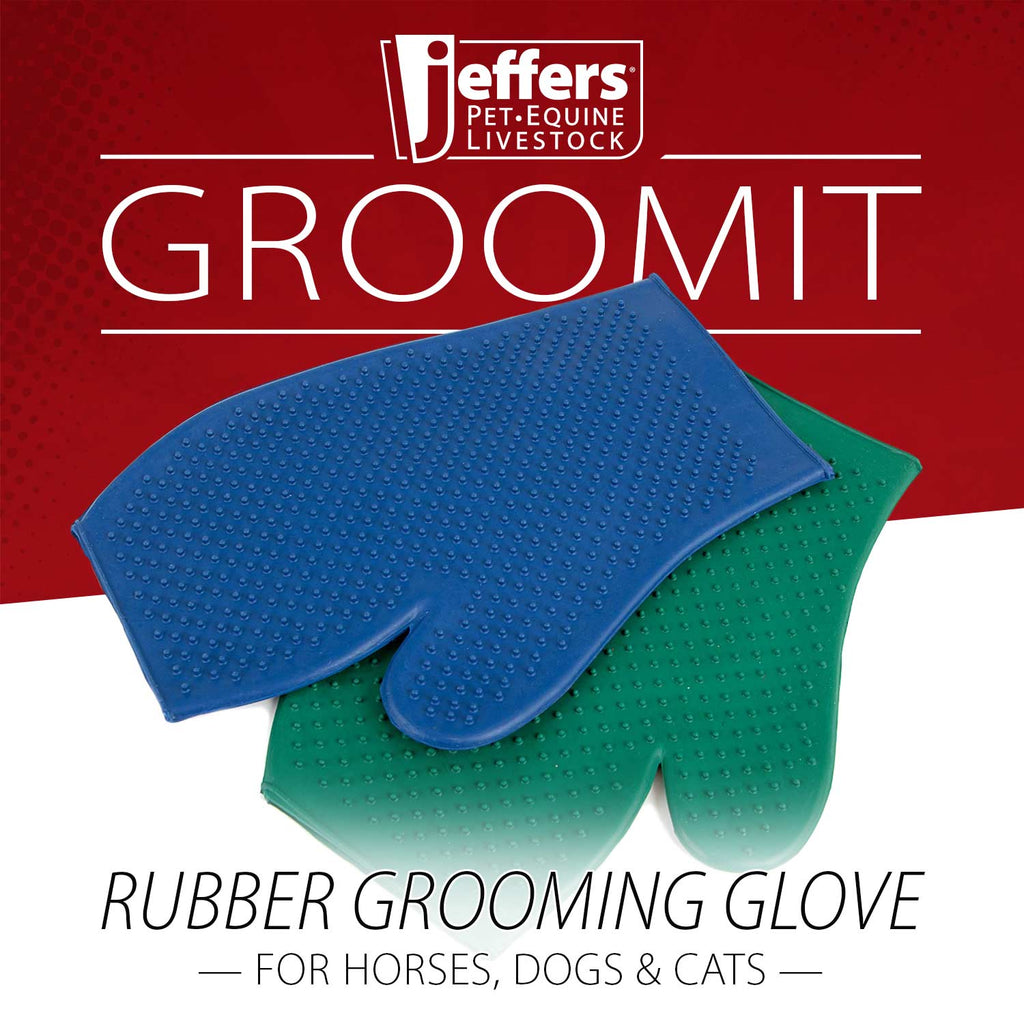 Rubber Grooming Glove for Beagle Shedding