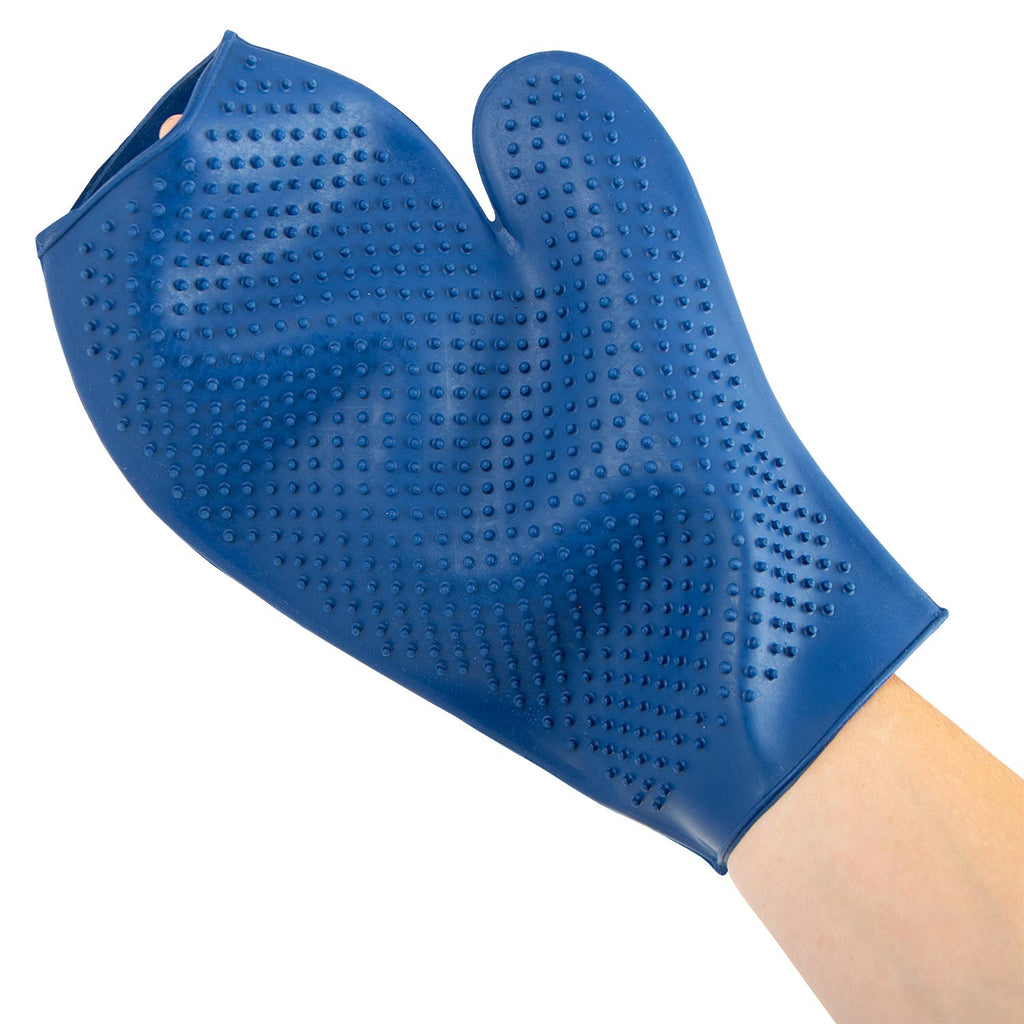 Rubber Grooming Glove for Beagle Shedding