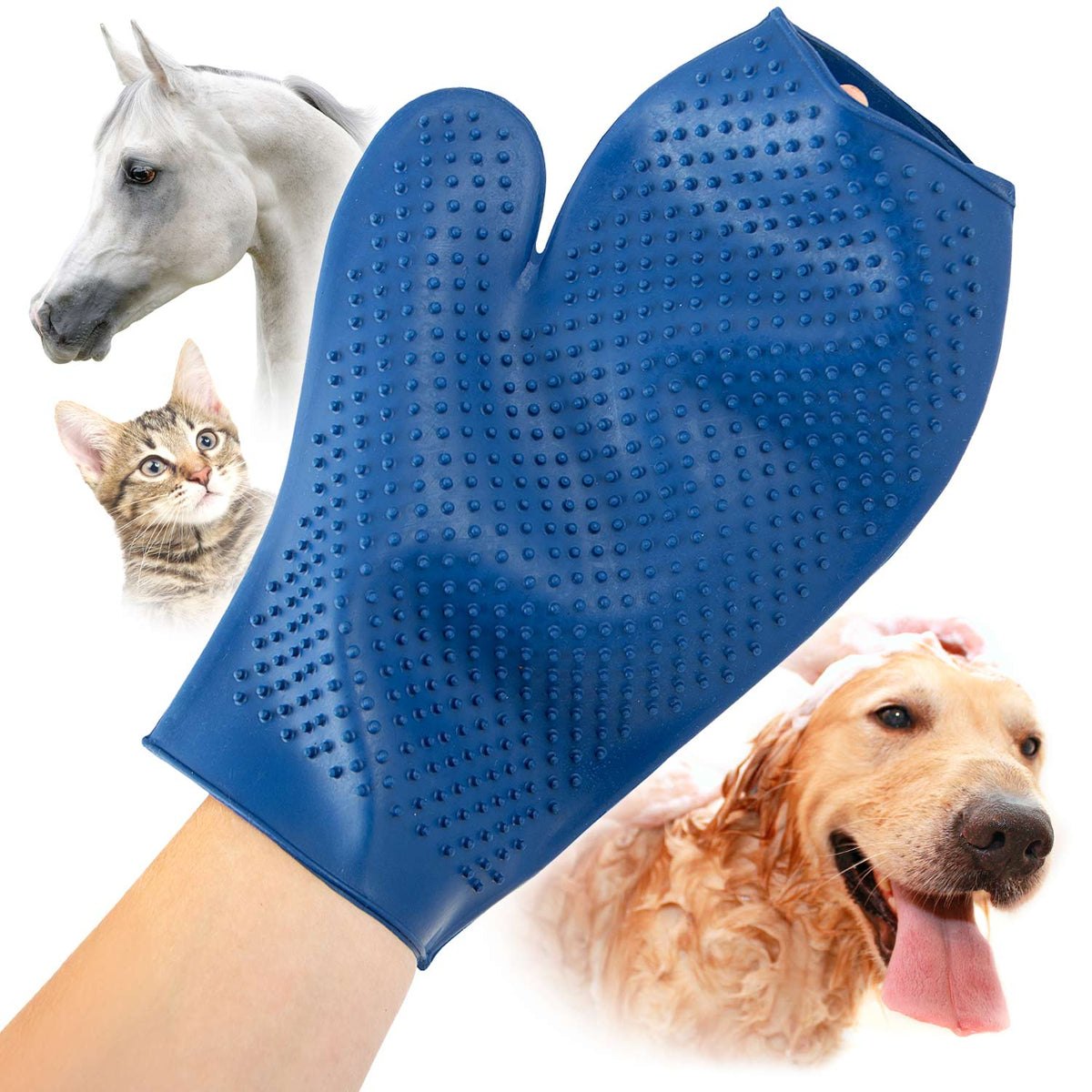 Rubber Grooming Glove for Beagle Shedding