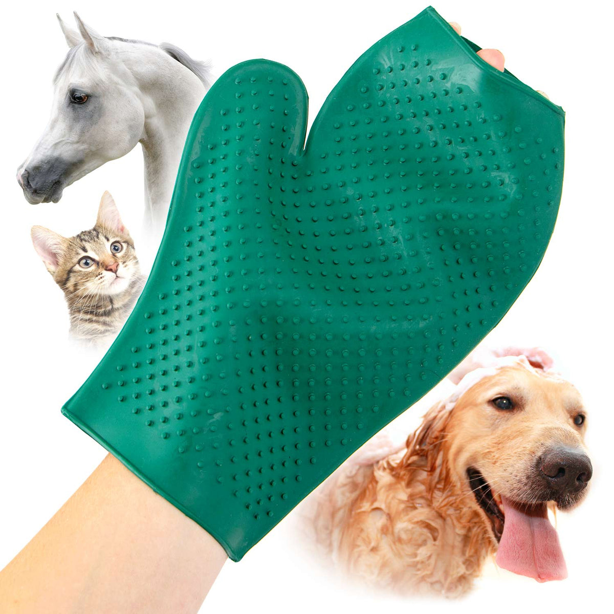 Rubber Grooming Glove for Beagle Shedding