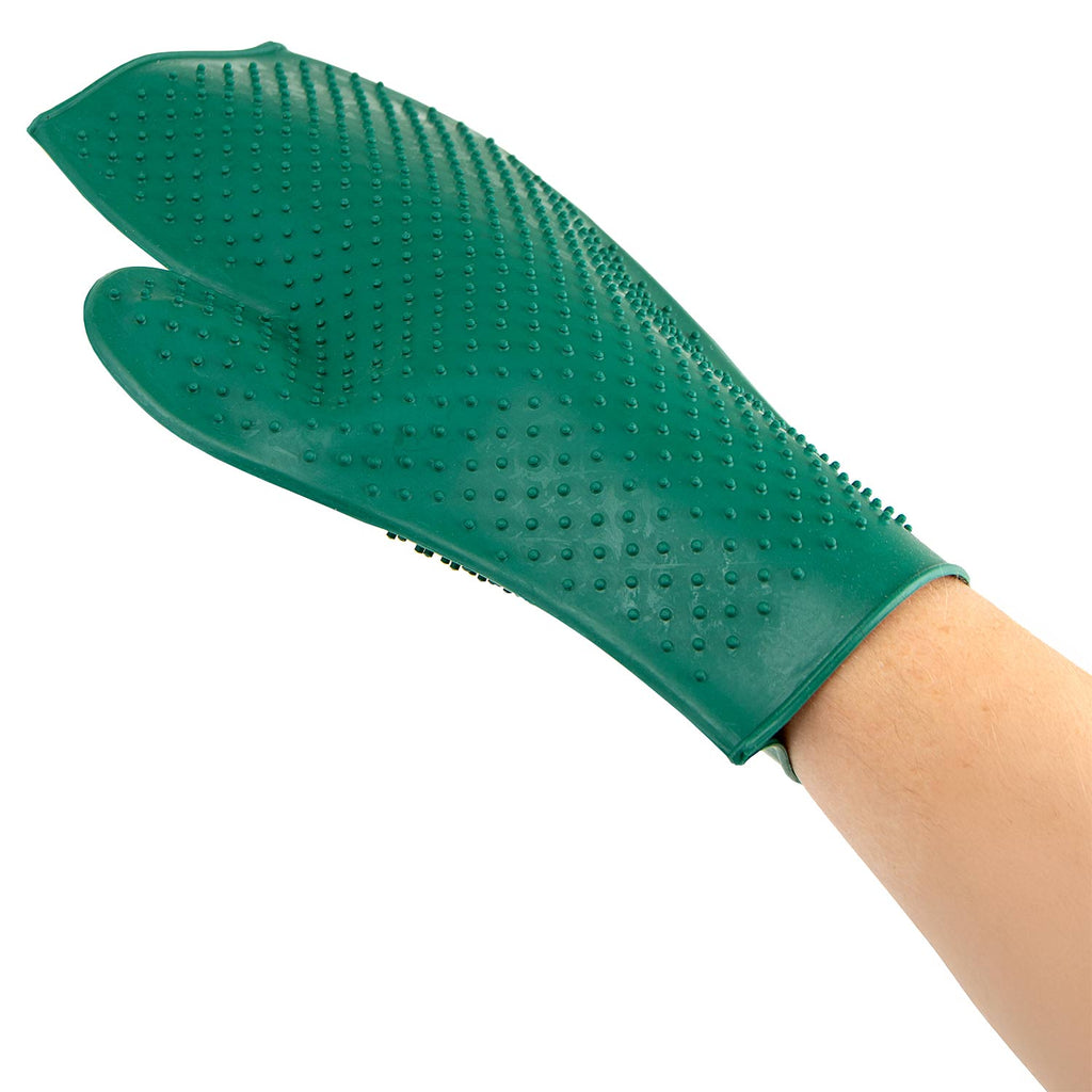 Rubber Grooming Glove for Beagle Shedding