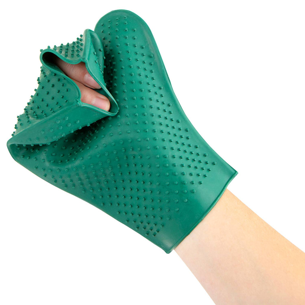 Rubber Grooming Glove for Beagle Shedding